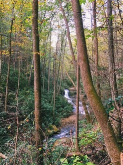 Top Free Hikes in Georgia: Raven Cliff Falls